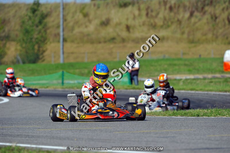 DSC_ (1724).jpg